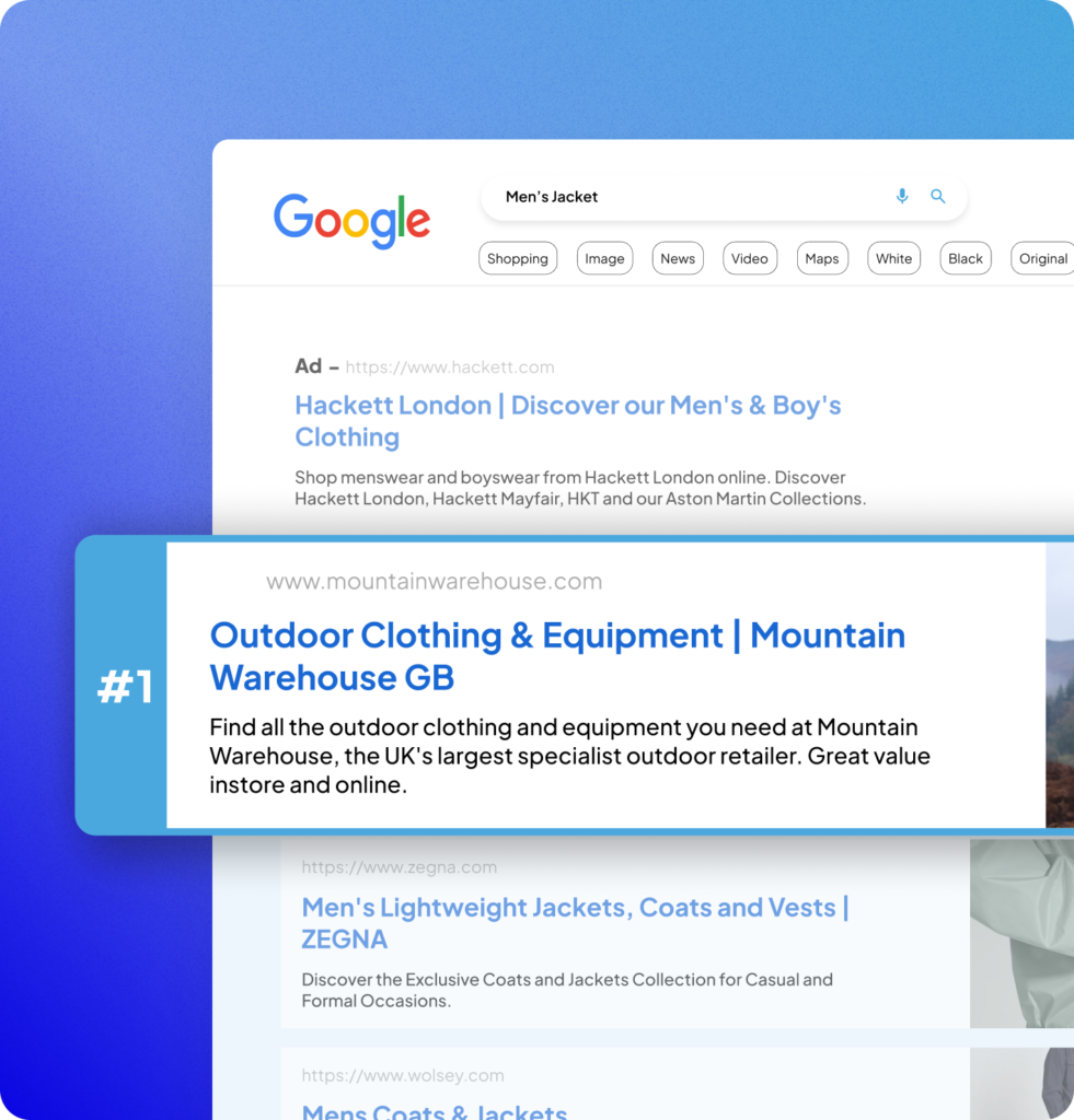 professional-seo-services